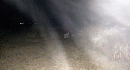 鬼類眾生加入我們早上環繞池塘行禪的隊伍。