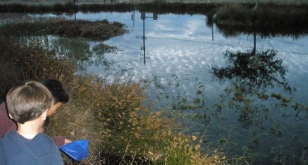 The pond at the Xuanfa Institute.