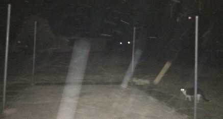 Beings from other dimensions visited the Vajra Poles during a temple retreat and photographed by several who attended.