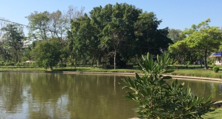 The tree under which H.H. Dorje Chang Buddha III sat and discoursed to the Dragon Fish is to the left of the Viharn.