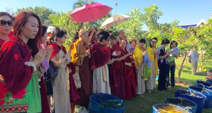 The disciples lined up to release the large baskets of very large carp to be released in the adjacent lake. The Viharn is in the background.