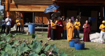 Lotus pond where living beings were released after the Kuan Yin Bodhisattva Great Compassion Empowerment Dharma Assembly in Bangkok, Thailand.