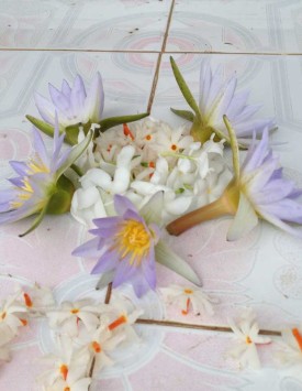 在斯里蘭卡，阿努拉德多寶羅摩佛塔的供花。