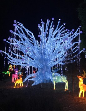 Moonlight Forest Magical Lantern Art Festival at Los Angeles Arboretum