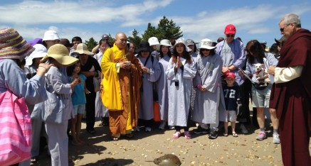 Horseshoe Crab Rescue and Blessing Dharma Assembly.