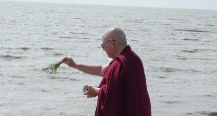 Venerable Zhaxi Zhuoma blesses the Horseshoe Crabs at Delaware beach