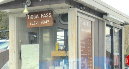 Tioga Pass, elevation 9945.