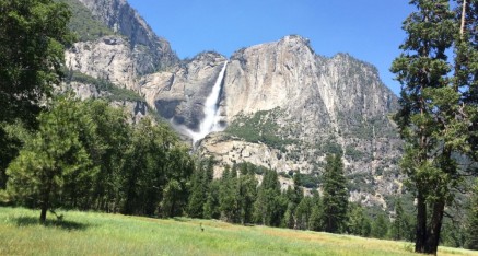 Yosemite Falls, the highest waterfall in the park drops a total of 2,425 feet.