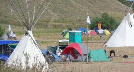 Our camp is under the trees in back at the main Standing Rock encampment