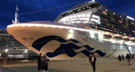 Our cruise ship, the Ruby Princess.