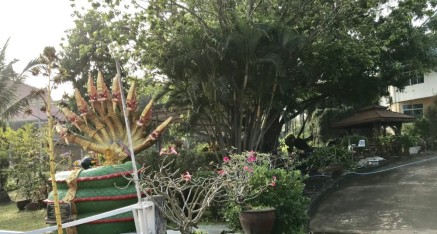 Many Buddhist statues including the King of Nagas were at the retreat site.