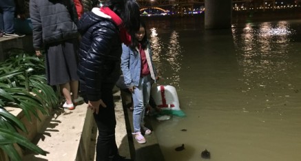 那個月更晚時在峴港的一座漢江橋下又放了更多的生，背景中可見著名的金龍橋。