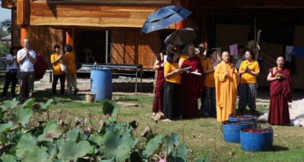 Fish release at lotus pond.