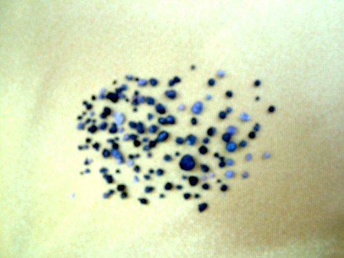 Photo of the 141 sariras (relics) collected after the cremation of Dharma King Dorje Losang.