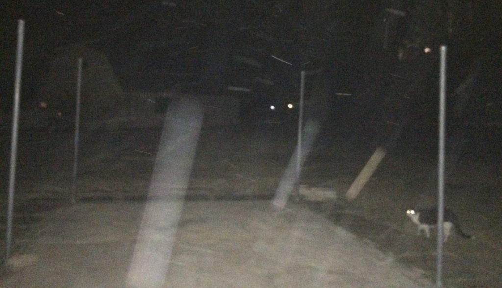 Beings from other dimensions visited the Vajra Poles during a temple retreat and photographed by several who attended.