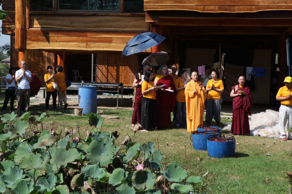 Lotus pond where living beings were released after the Kuan Yin Bodhisattva Great Compassion Empowerment Dharma Assembly in Bangkok, Thailand.